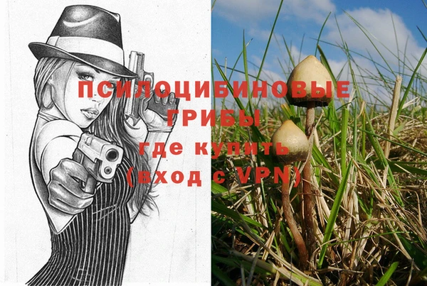 apvp Алексеевка