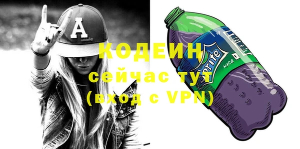 гашик Мегион